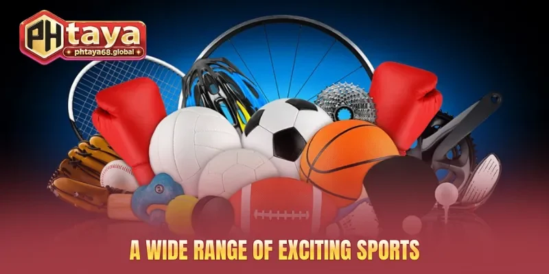 A wide range of exciting sports