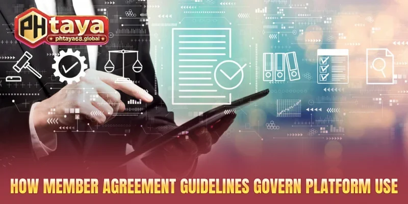 How member agreement guidelines govern platform use