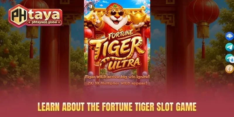 Learn about the Fortune Tiger slot game