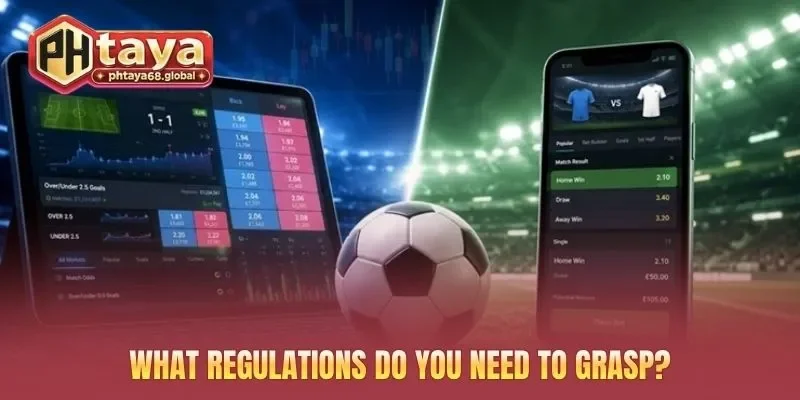 What regulations do you need to grasp?